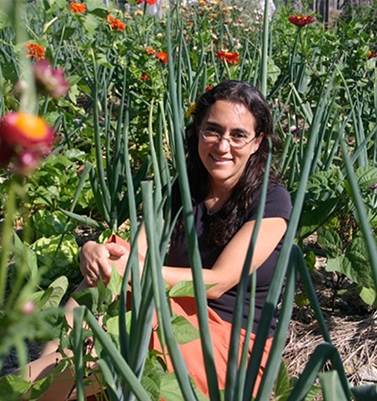 Six Reasons To Start Gardening Traditional Roots Institute