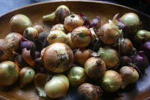 Onion skins, especially red ones, are good sources of allergy-busting quercetin.